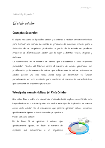 Teorico-30-y-31-bcm.pdf