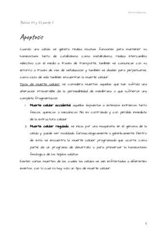 Teorico-34-y-35-bcm.pdf