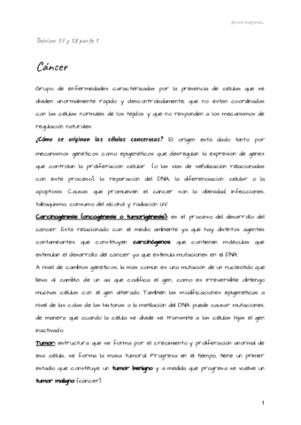 Teoricos-37-y-38-bcm.pdf