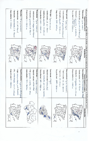 Distribución Pinus en España (1).pdf