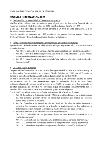 Tema 3 RESUMEN.pdf