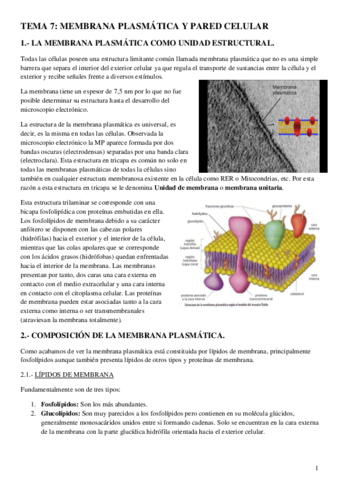 Membrana-plasmatica-y-pared-celular.pdf