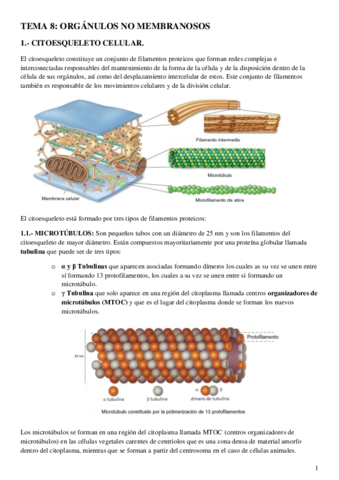 Organulos-no-membranosos.pdf