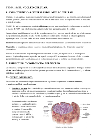 Nucleo-celular.pdf