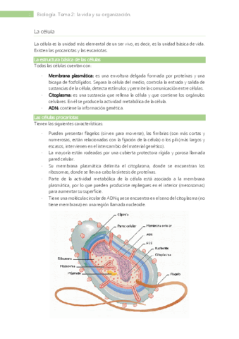 Tema-2-La-vida-y-su-organizacion.pdf