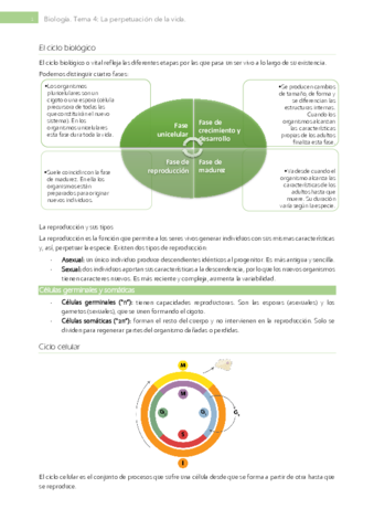 Tema-4-La-perpetuacion-de-la-vida.pdf