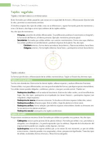 Tema-3-Los-tejidos.pdf
