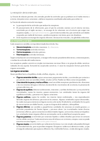 Tema-10-La-relacion-en-animales.pdf