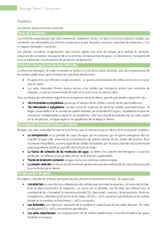 Tema-7-Las-plantas.pdf