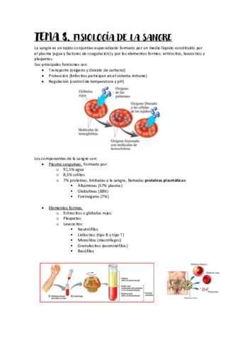 TEMA-8.pdf