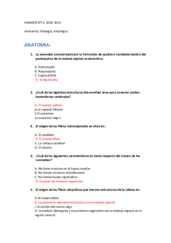 EXAMEN-EYF3.pdf