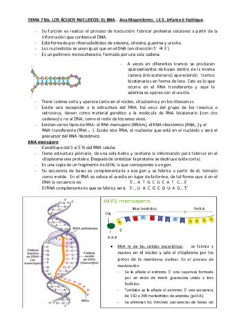TEMA-8-bis-EL-ARN.pdf