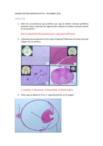 EXAMEN-SISTEMA-NERVIOSO-EYFIII.pdf