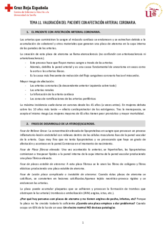 Tema-11-Clinica-I.pdf