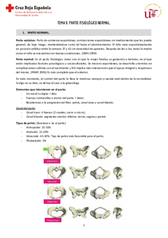 Tema-9-Reproductiva-2.pdf