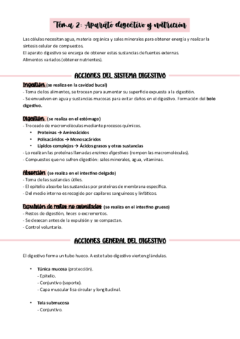 ANATOMIA-TEMA-2.pdf