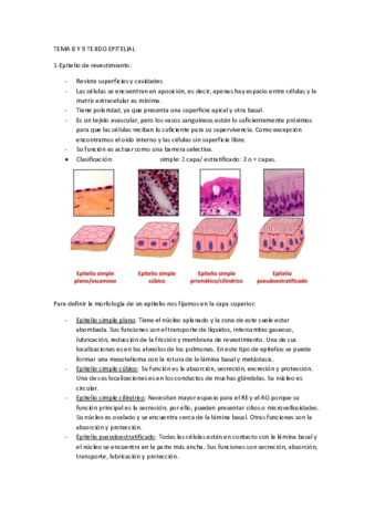 TEMA-8-Y-9-TEJIDO-EPITELIAL.pdf