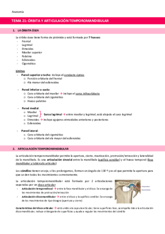 TEMA-21-Orbita-y-Articulacion-Temporomandibular.pdf