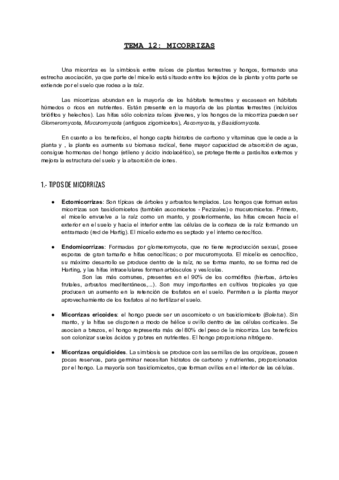 TEMA-12-ALGAS.pdf