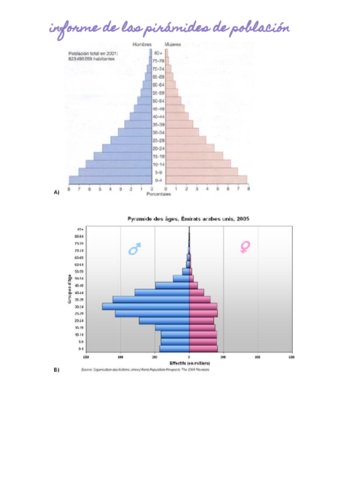 Informe-de-las-piramides-de-poblacion-.pdf