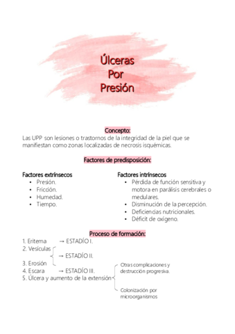 RESUMEN-UPP.pdf