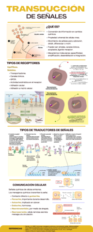 TRANSDUCCION-DE-SENALES.pdf