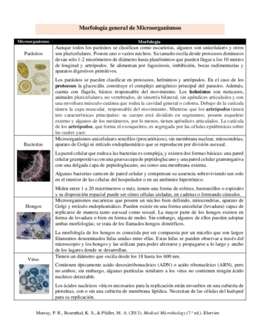 Morfologia-general-de-Microorganismos.pdf