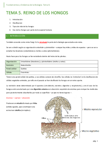 05-reino-de-los-hongos.pdf