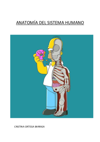 Apuntes-anatomia.pdf