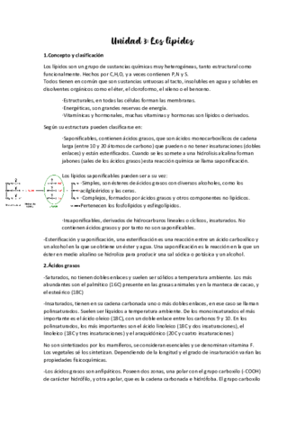 Los-lipidos.pdf