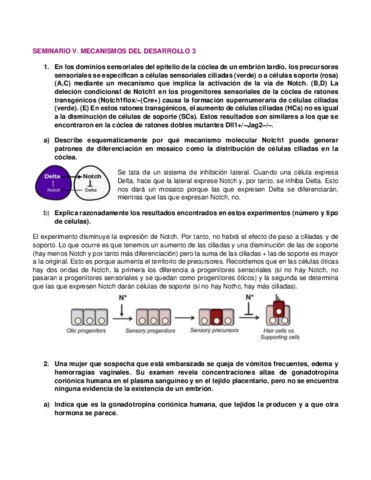Seminario-5.pdf