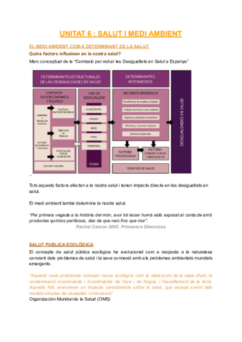 UNITAT-6--SALUT-I-MEDI-AMBIENT.pdf