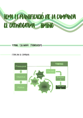 TEMA-11-Planificacio-de-la-campanya.pdf