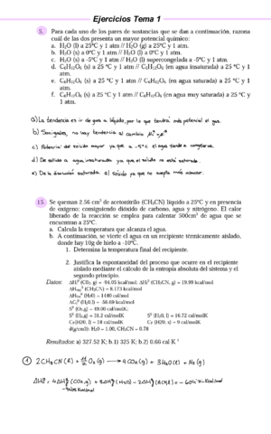 Ejercicios-Tema-1.pdf