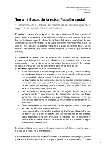 Tema-1-Bases-de-la-estratificacion-social.pdf