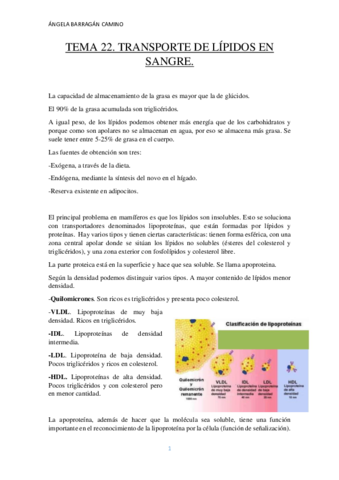 TEMA 22.pdf