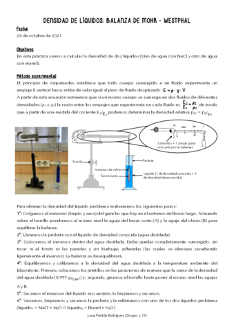 INFORME-BALANZA-DE-MOHR.pdf