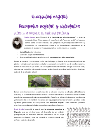 Temario-Vegetal.pdf