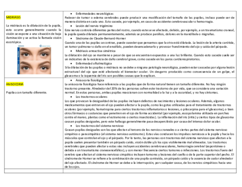 pupilas-alteraciones.pdf