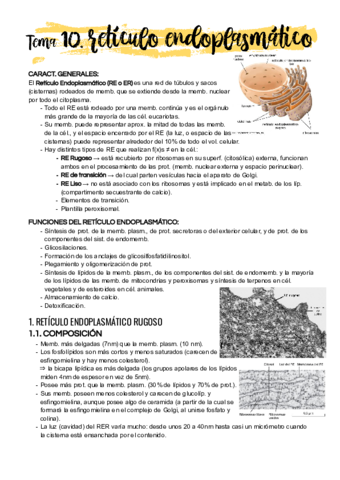 Tema-10.pdf