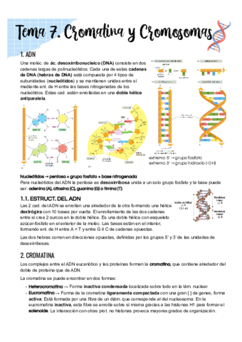 Tema-7.pdf