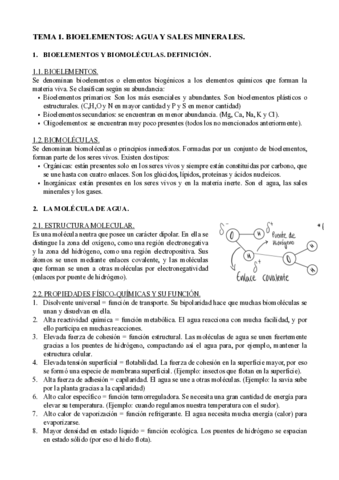T1 BIOELEMENTOS: AGUA Y SALES MINERALES.pdf