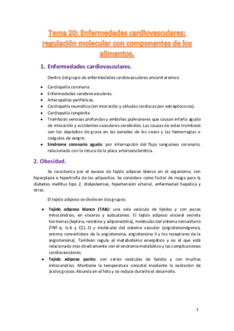 Tema-20.pdf