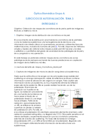 Entregable-4-21-22.pdf