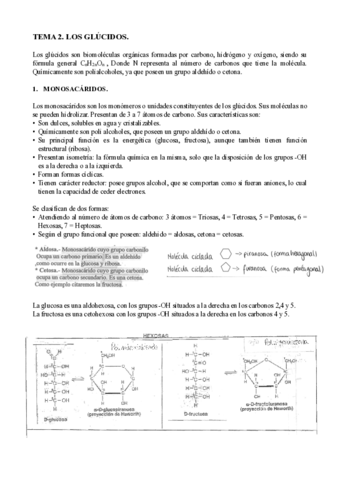 T2. LOS GLÚCIDOS.pdf