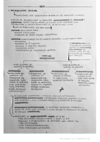 APUNTES-TEMA-9.pdf