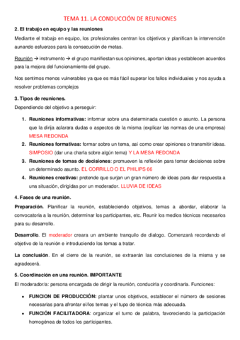 RESUMEN-T11.pdf