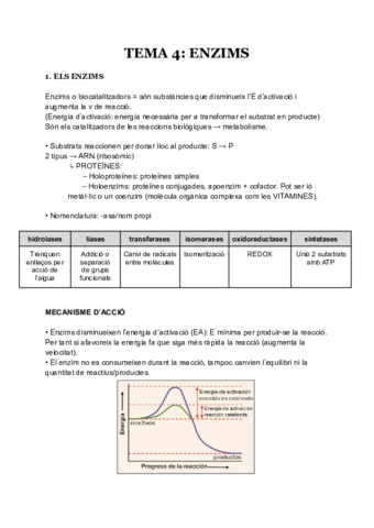 t4-ENZIMS-BIOLOGIA.pdf