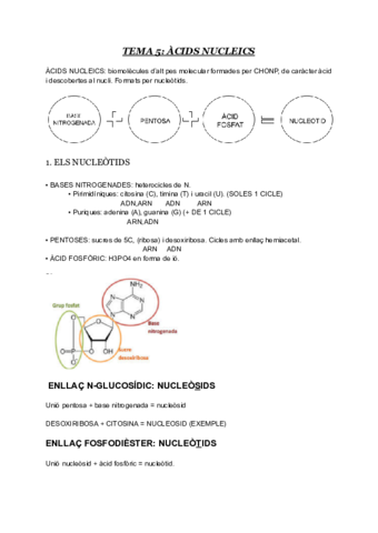 t5-acids-nucleics.pdf