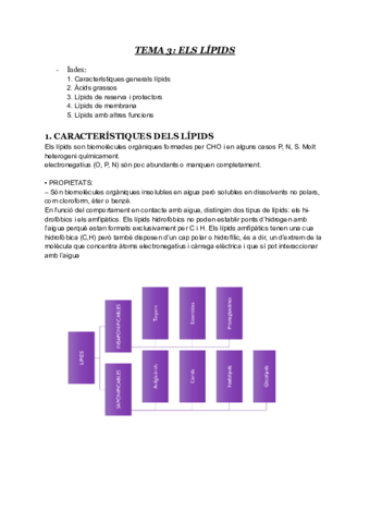 t3-lipids.pdf
